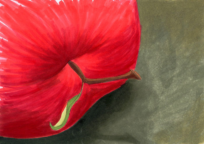 apple doodle in markers